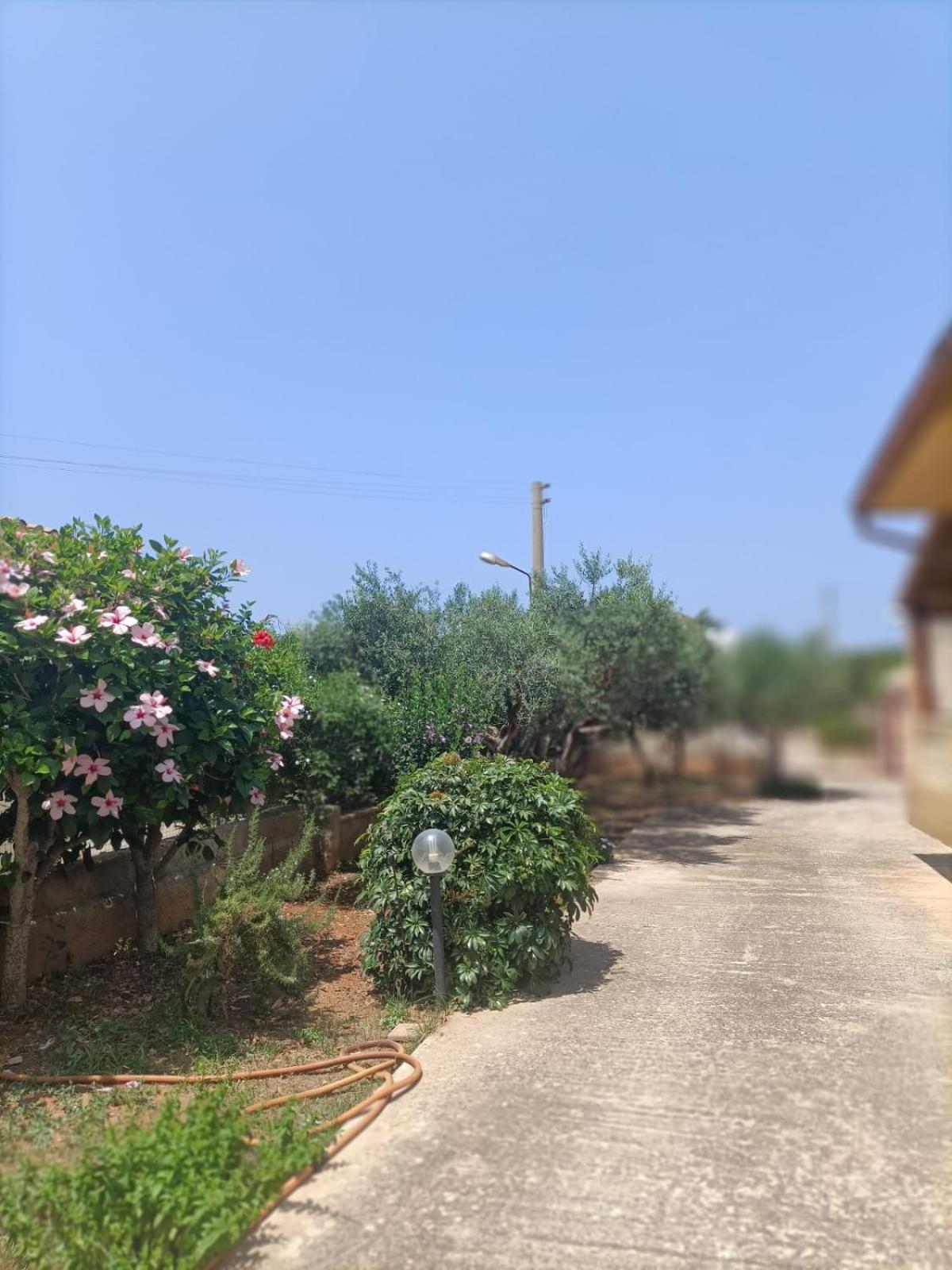 Casa Vacanza Nino Marsala Exterior foto